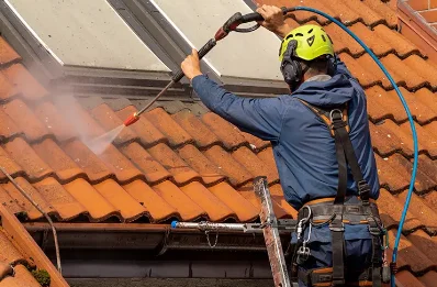 Démoussage et hydrofuge de toiture à Richardménil